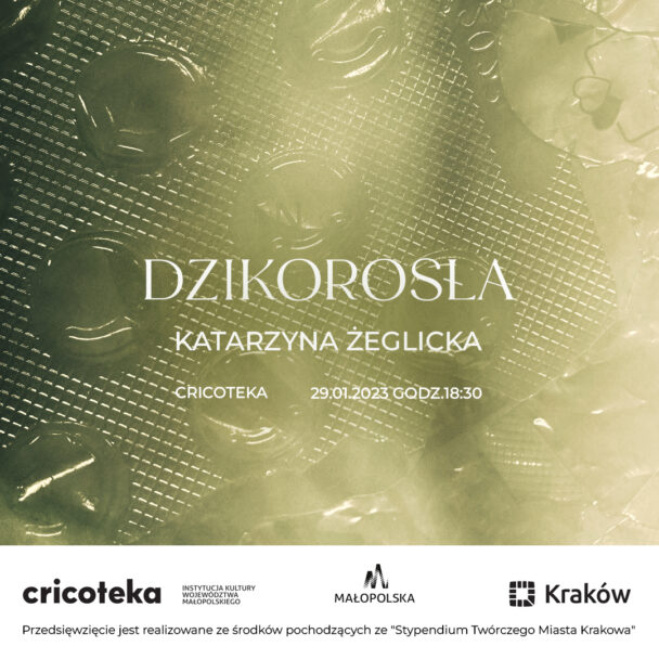 Zdjęcie: Kraków:  Katarzyny Żeglicka „Dzikorosła”