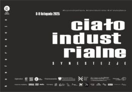 Zdjęcie: Bytom: Konferencja naukowo-artystyczna „Ciało industrialne: Synestezje”