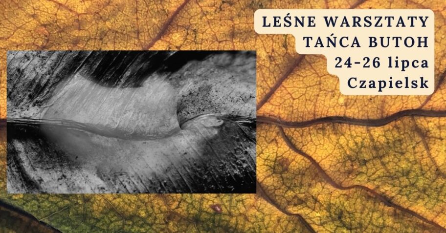 Zdjęcie: Czapielsk: Leśne warsztaty tańca butoh
