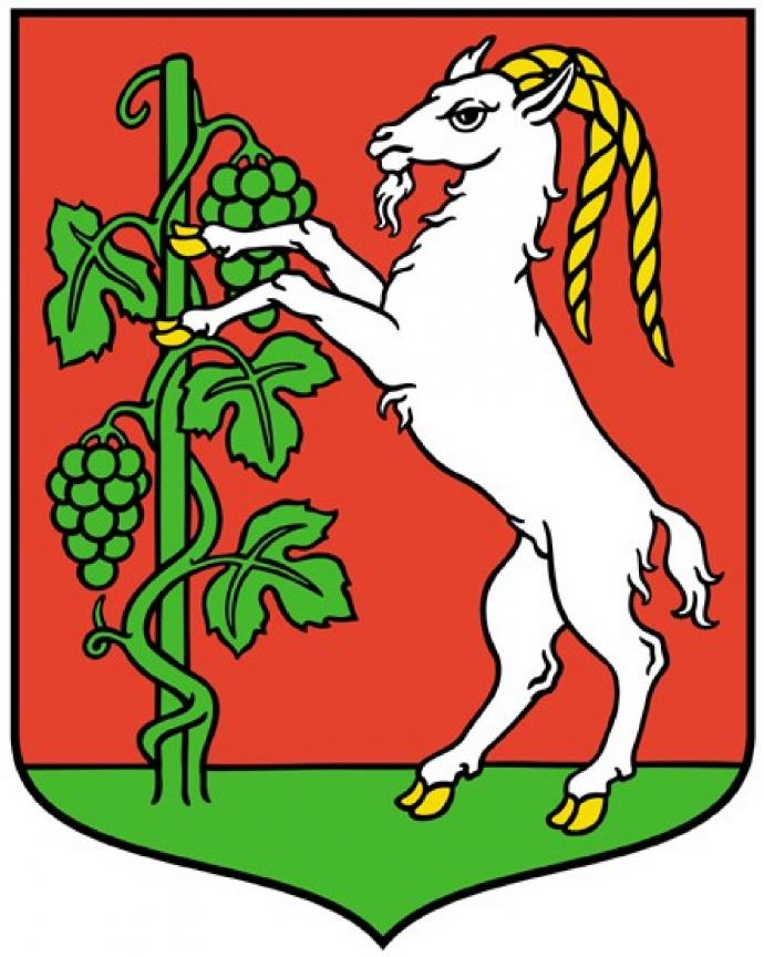 Logo Lublin (miniaturka)