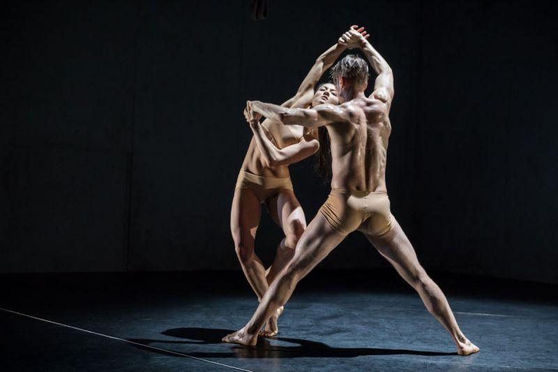 Zdjęcie: Chorzów: Dance Company Nanine Linning/ Theater Heidelberg „Bacon”