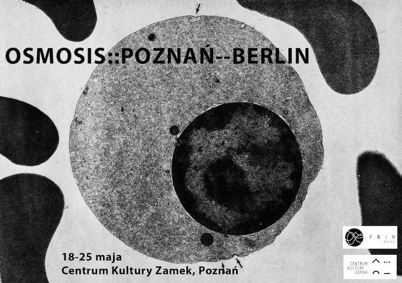 Zdjęcie: Poznań: Pokazy w ramach projektu „OSMOSIS:: Poznań – – Berlin”
