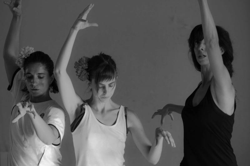 Zdjęcie: Olsztyn: Hiszpańskie artystki gośćmi VI odcinka Otwartej Sceny Tańca