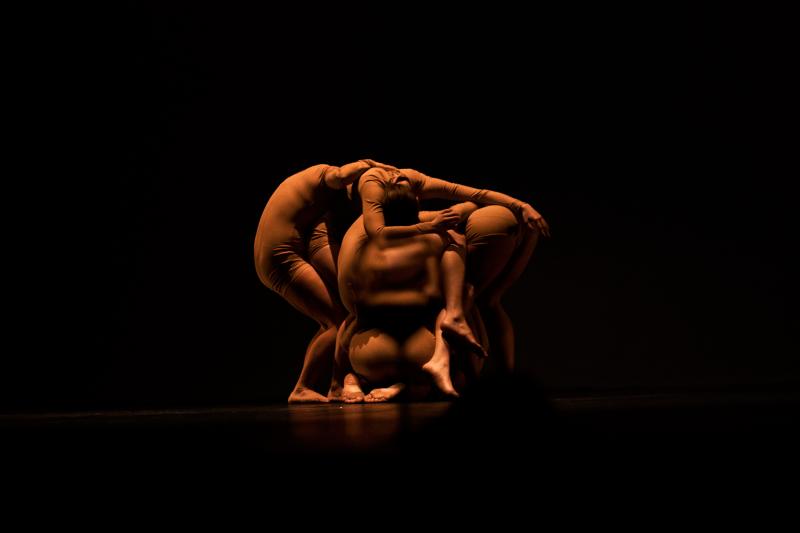 Zdjęcie: Olsztyn/Scena dla tańca 2020: Wieczór ze spektaklami Olsztyńskiego Teatru Tańca online
