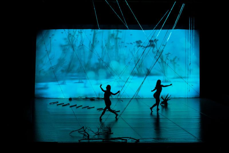 Zdjęcie: Scena dla tańca 2016/Mielec: Spektakle Anny Haracz i Iwony Olszowskiej oraz Krakowskiego Teatru Tańca