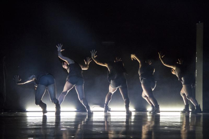 Zdjęcie: Bytom/to nie jest festiwal 2015: Teatr Rozbark „I don’t wanna be a horse” w choreografii Anny Piotrowskiej