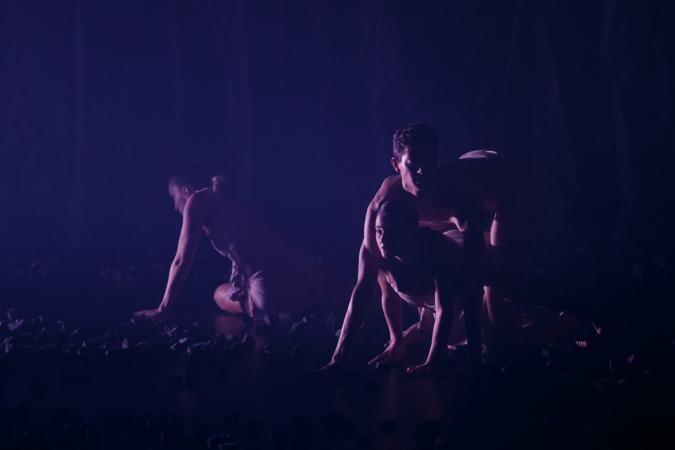 Zdjęcie: „Neverland” – kraina dziecięcych marzeń? – o spektaklu Kamea Dance Company