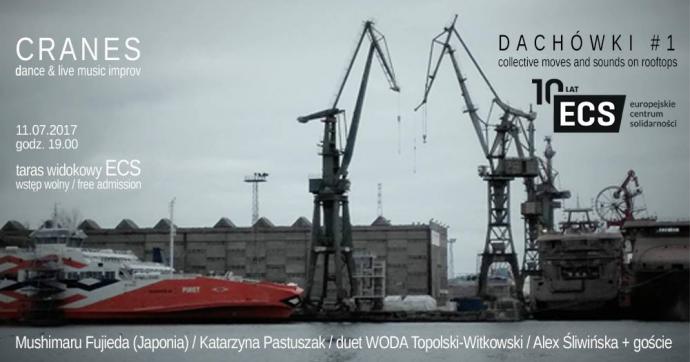 Zdjęcie: Gdańsk: Mushimaru Fujieda (Japonia)/ Katarzyna Pastuszak/ duet WODA Topolski-Witkowski/ Alex Śliwińska + goście –  DACHÓWKI 1 #: Cranes”
