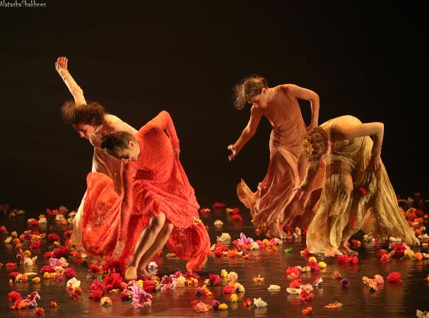 Zdjęcie: Gdańsk/XI Gdański Festiwal Tańca: Orly Portal Dance Company „Rite of Spring of Farid El-Atrache”