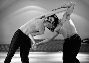 Zdjęcie: Wrocław/„BodyConstitution 2015” – „Tożsamość”: Aikido, Capoeira, Kalarippajattu (styl południowy) – trening otwarty