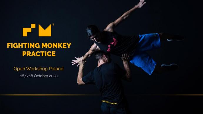 Zdjęcie: Poznań: „Fighting Monkey Practice” – warsztaty dla tancerzy; prowadzenie: Jozef Frucek