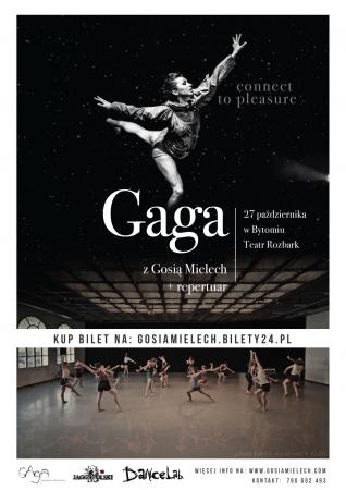 Zdjęcie: Bytom/ Teatr ROZBARK: Gosia Mielech – warsztaty GaGa/people, GaGa/dancers, Repertuar