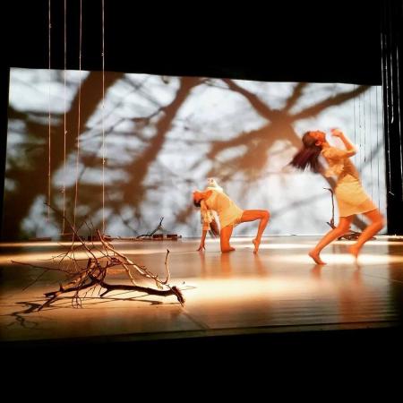 Zdjęcie: Dancing Poznań 2016/XIII Międzynarodowy Festiwal Teatrów Tańca: Iwona Olszowska i Anna Haracz „Przenikanie”
