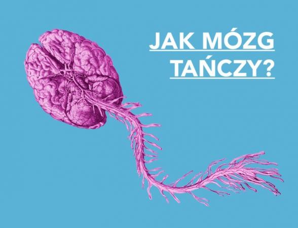 Zdjęcie: Poznań: Polski Teatr Tańca „Jak mózg tańczy?” – rozmównica