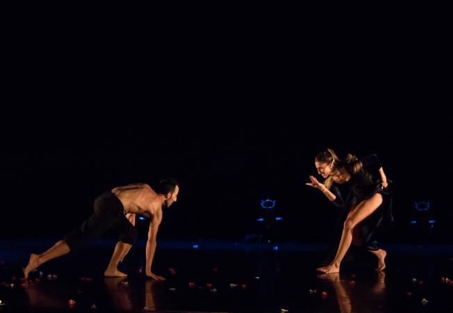 Zdjęcie: Gdańsk/Tydzień Izraelski: Kamea Dance Company „Carmina Burana” – chor. Tamir Ginz